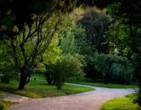 ortobotanico