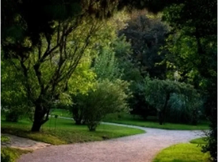 ortobotanico
