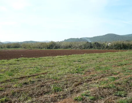Terreno adatto coltivazione