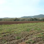 Terreno adatto coltivazione