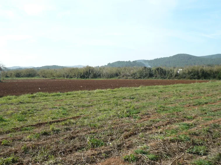 Terreno adatto coltivazione