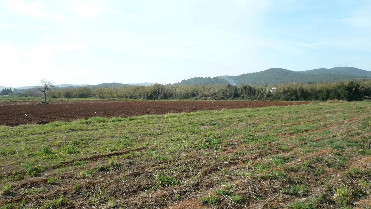 Terreno adatto coltivazione