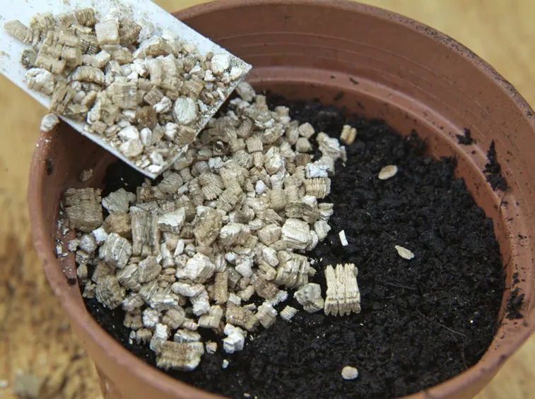 Vermiculite semenzai orti