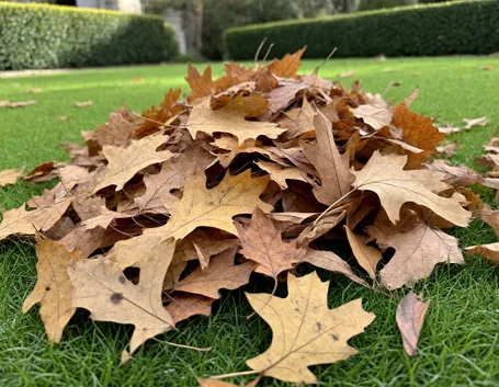 Quali foglie secche usare e quali lasciare fuori dal compost