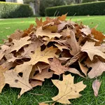 Quali foglie secche usare e quali lasciare fuori dal compost