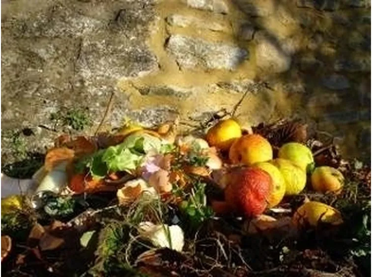 compost-1