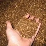 concimeorganico1