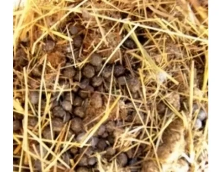 comcimifertilizzanti1