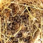 comcimifertilizzanti1