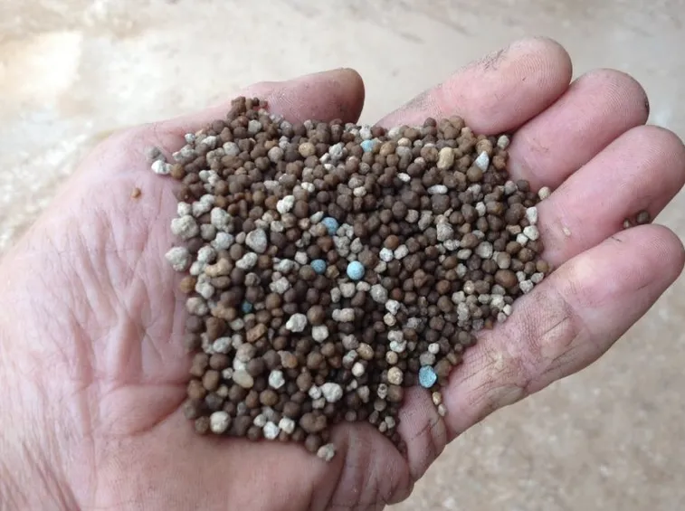 Fertilizzante grani