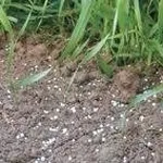 concimiprezzi1_zpsd2b5ebea