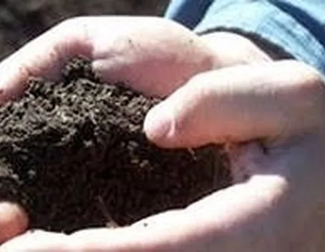 fertilizzantenaturale
