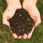 fertilizzanteorganico1_zpsb232a0e8