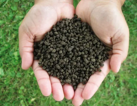Fertilizzante chimico