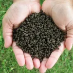Fertilizzante chimico