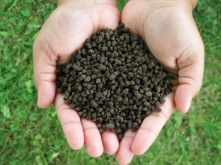 Fertilizzante chimico