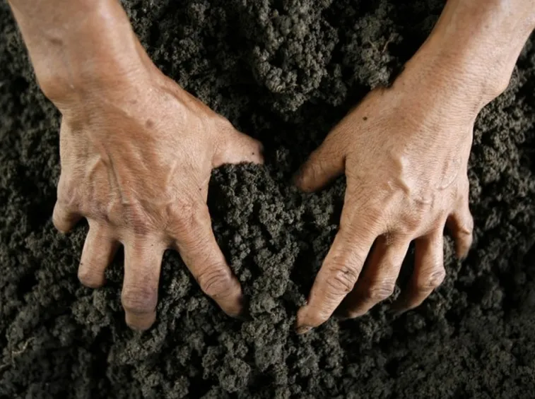 Suolo fertile
