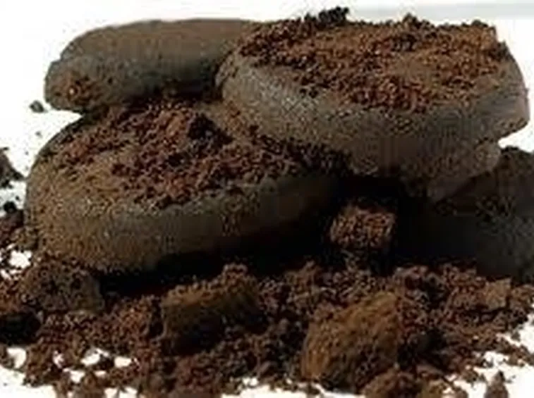 caffefertilizzantepiante