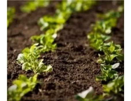 fertilizzante1