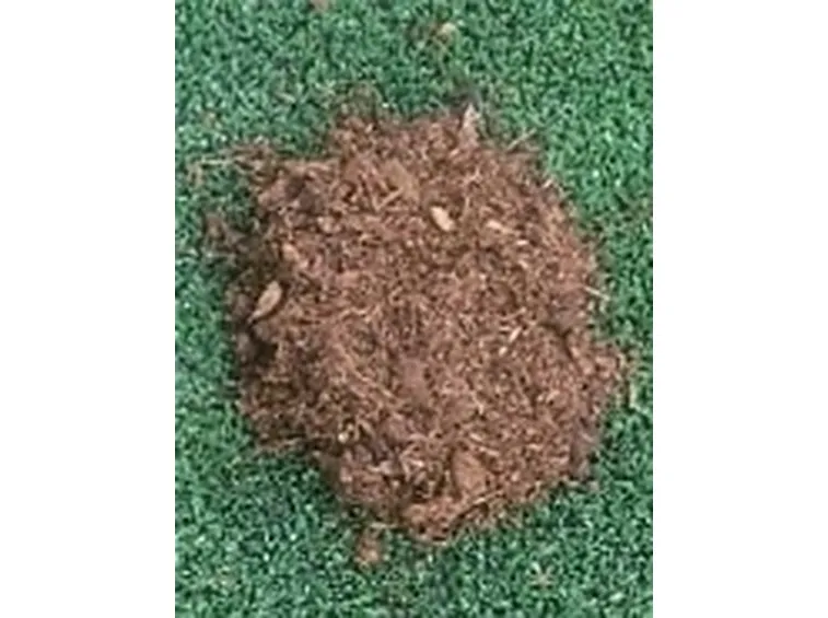 fertilizzante4