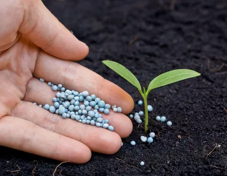 Principali nutrienti terreno