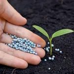 Principali nutrienti terreno