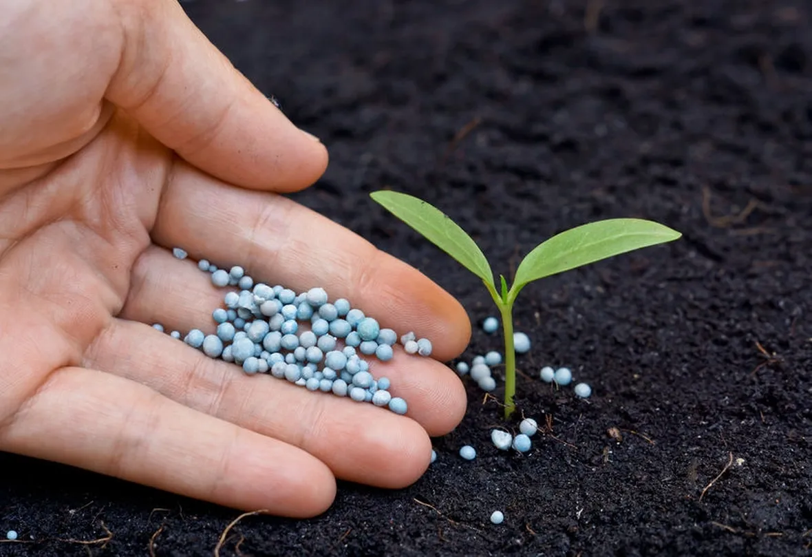 Principali nutrienti terreno