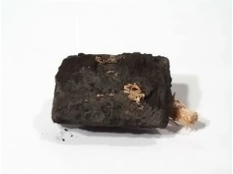 terriccio4