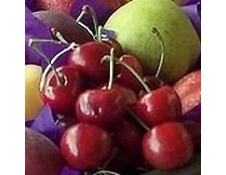 foto ciliegio