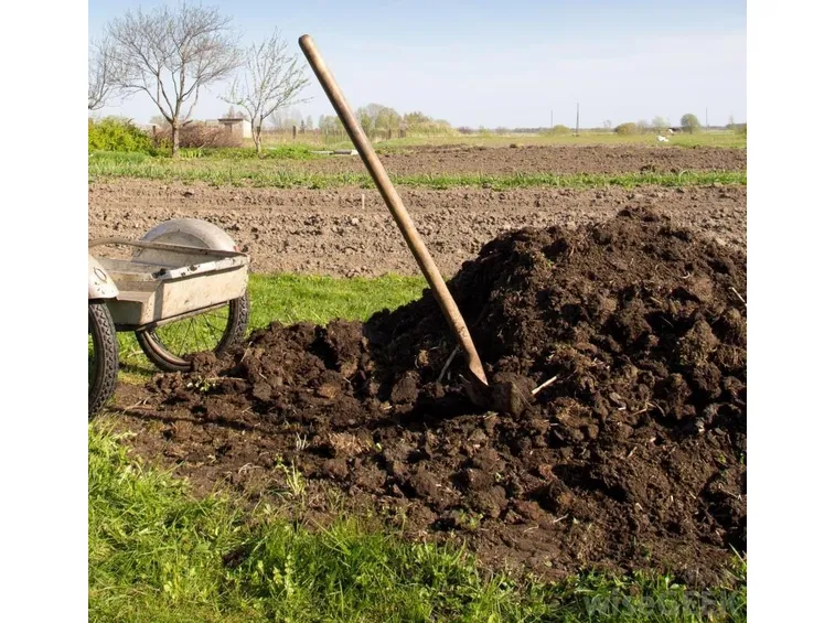 Raccolta di concime organico naturale