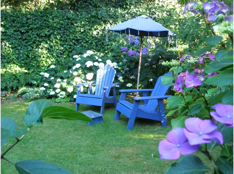 Roof garden con ortensie