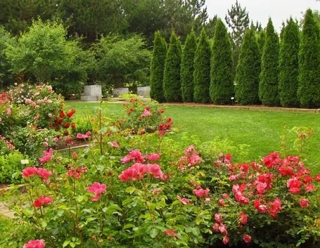 Giardino irrigazione