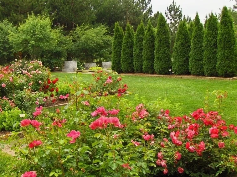Giardino irrigazione