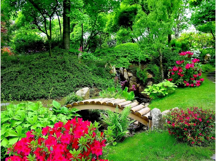 come curare il giardino