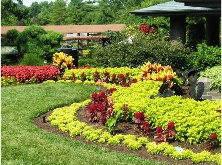 Giardino terreno