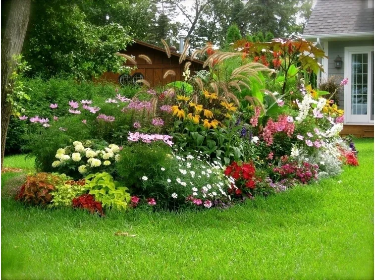cura giardino