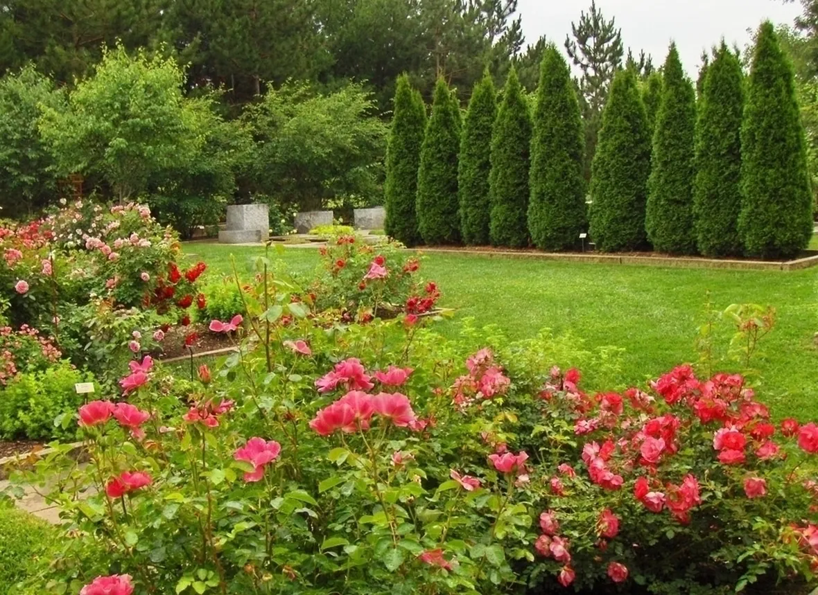 Giardino irrigazione