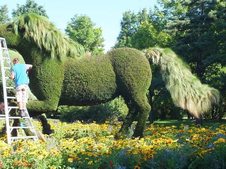 Un giardiniere scultore