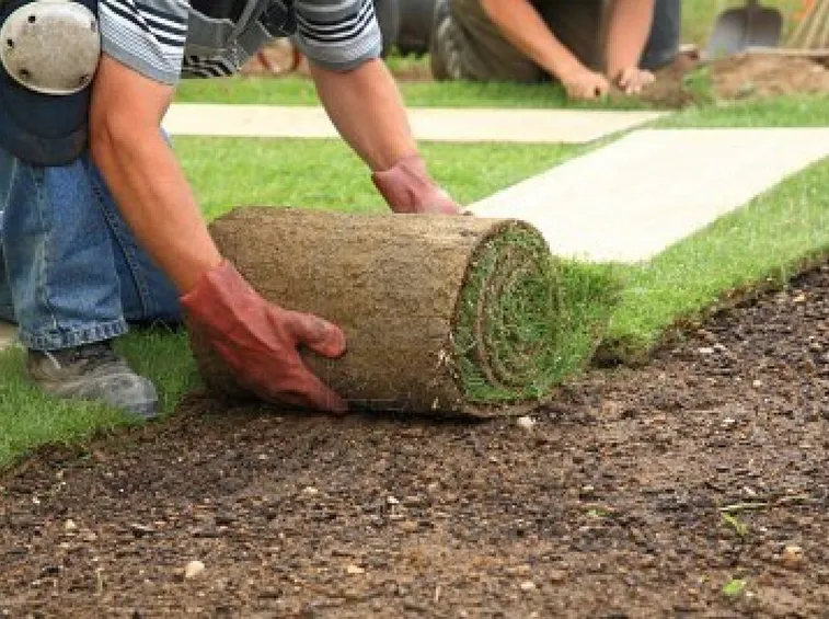 Giardiniere installa il prato a rotoli