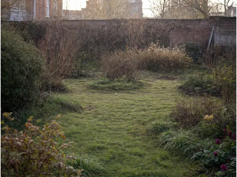 giardino senza manutenzione