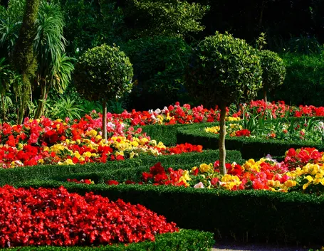 Un giardino ben curato