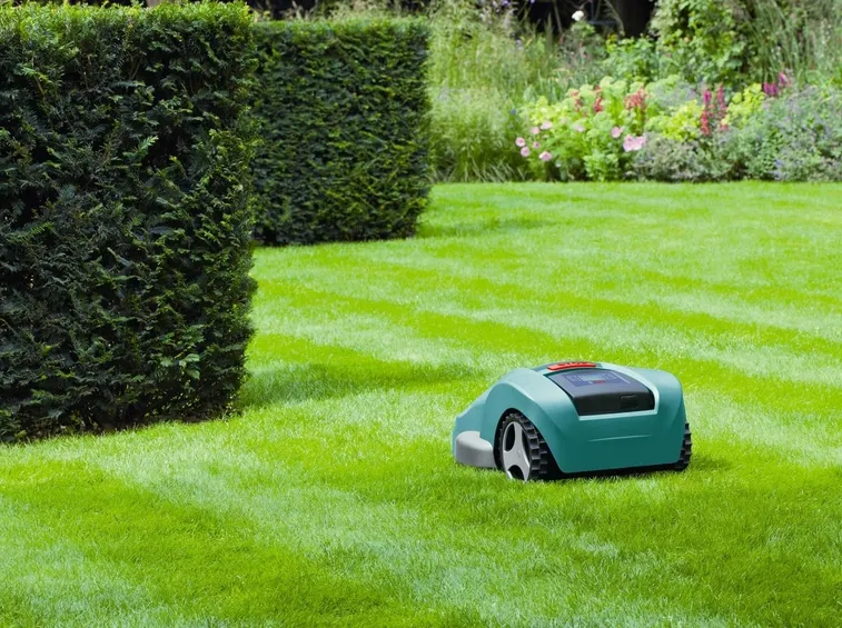 Manutenzione giardini