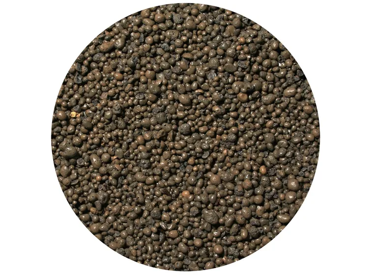 Argilla espansa