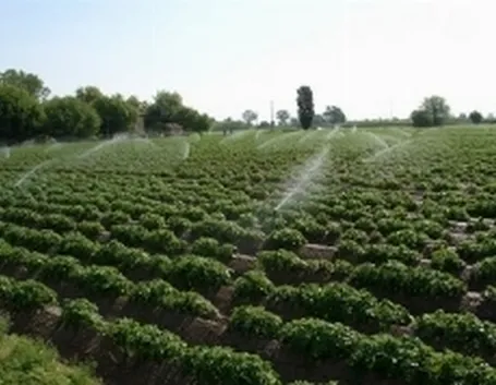 impianto irrigazione fuori terra