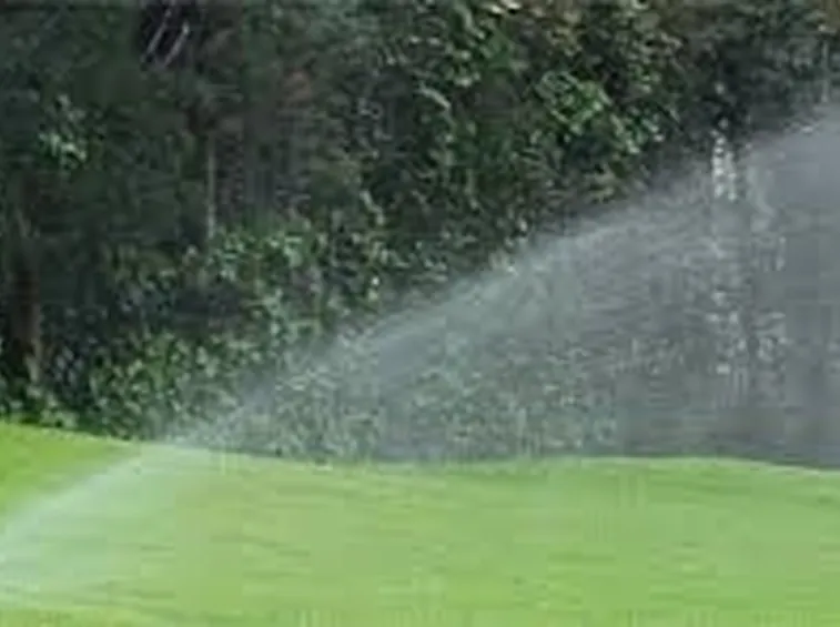 Degli irrigatori da giardino