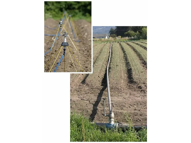 Impianti di irrigazione fuori terra.