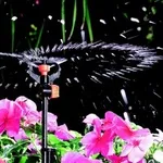 microirrigatori