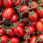 Pomodori frutti