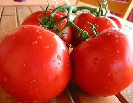 pomodoro
