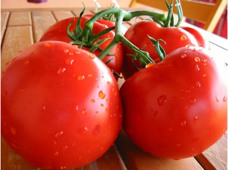 pomodoro